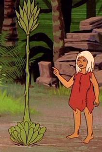 spear plant