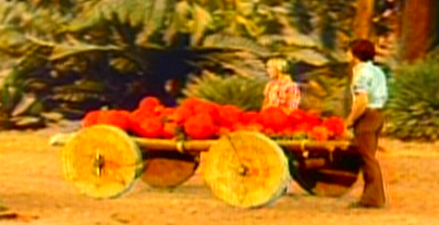 Marshall shopping cart